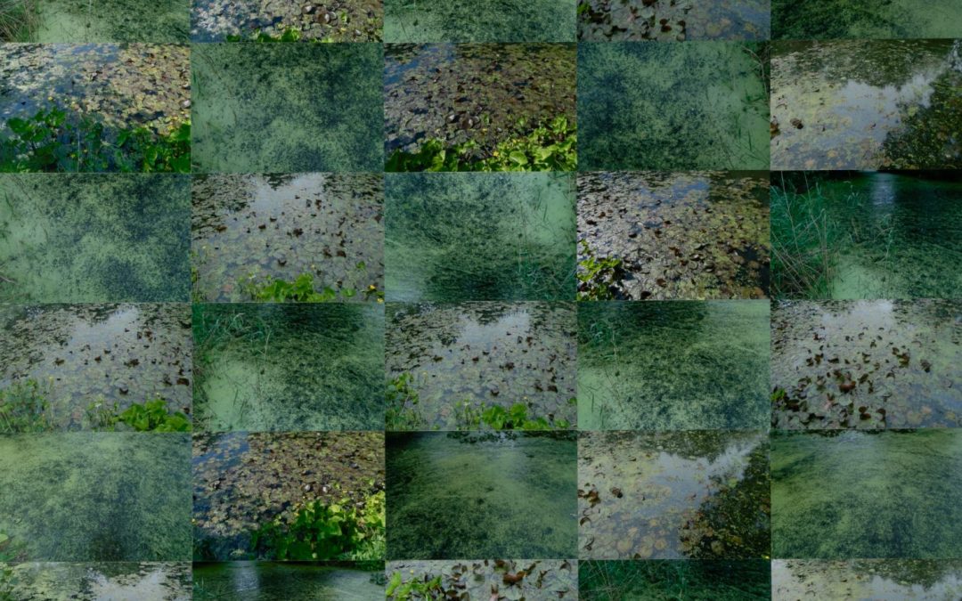 Green Pond Surfaces